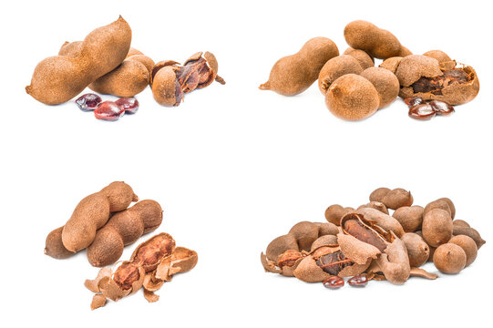 Collage of Tamarindus indica isolated on a white cutout