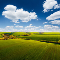 Fototapeta premium Splendid aerial photography of green wavy field in sunny day. Top view drone shot.