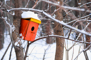 Birdhouse on a tree. A red birdhouse hangs on a tree in the forest in winter. It's snowing in the forest. Winter landscape
