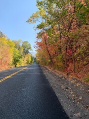 road in autumn forest