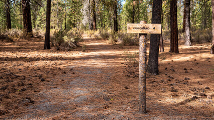 Campground Ahead Sign