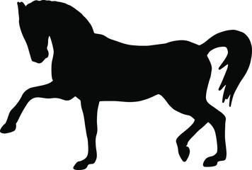 Vector icon of black silhouette of horse. Nice domestic animal