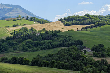Paysage d'&eacute;t&eacute; dans la r&eacute;gion des Marches en Italie