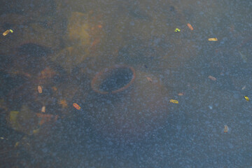 Photo water jar under dirty lake water