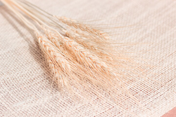 Wheat on sack cloth background with copy space