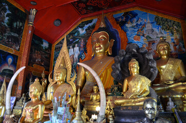 Chiang Mai, Thailand - Wat Phra That Doi Suthep Meditating Buddha Statues