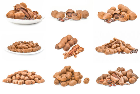 Collage of Tamarindus indica isolated on a white background