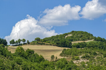 Paysage d'&eacute;t&eacute; dans la r&eacute;gion des Marches en Italie