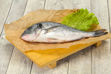 Raw Dorada fish  for cooking