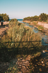 Protected wetland in Rafina, Attica.