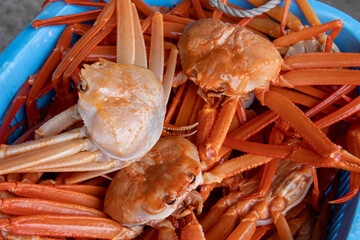 漁港にあがったばかりの新鮮なカニ © Nico