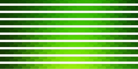 Fototapeta premium Light Green vector background with lines.