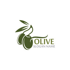 Olive oil with green leaves branch. Natural fruits and vegetable vector