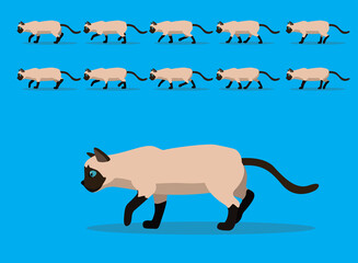 Animal Animation Sequence Siamese Tonkinese Cat Cartoon Vector
