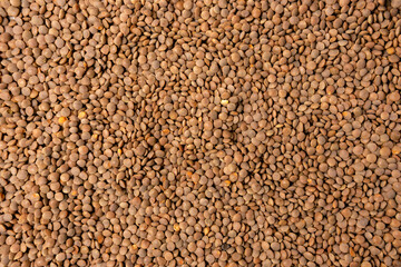 Natural organic dry brown lentils for a healthy diet. background texture