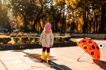 Happy smiling little child 2 years old girl in yellow rain boots is playing with her red umbrella with polka dots outdoors in the park near a puddle.