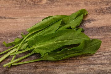 Aroma Fresh green sorrel heap