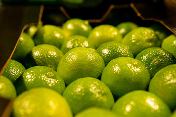 Many limes close up, citrus fruit background.Buy ripe nature products.