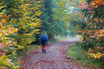 Man trekking in high autumn mountains with his dog