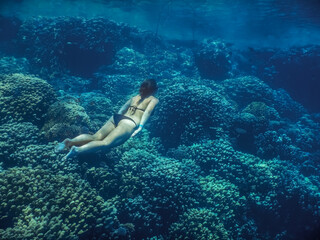 woman in black bikini dives over corals in the red sea