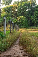 Path in the village of Redi. Maharashtra state. India. November 2020