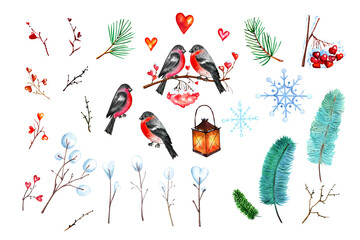 Winter clipart with bullfinches and branches of cedar and spruce trees, a glowing hanging lantern, hearts and snowflakes. You two lovebirds. Watercolor illustration