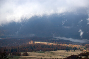 Foggy forest background in autumn