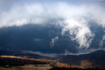 Fototapeta premium Foggy forest background in autumn