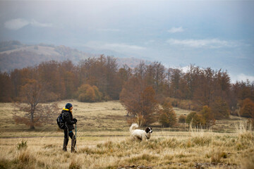 Woman trekking in high autumn mountains with her dog