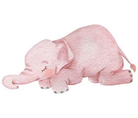 Cute baby elephant sleeping watercolor illustration. Children illustration character. Hand painted pink elephant isolated on white background.