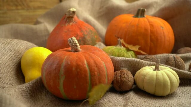Camera movement on a composition of pumpkins, walnuts and autumn leaves. Falling autumn leaves in slow motion. Autumn still life. Halloween holiday.