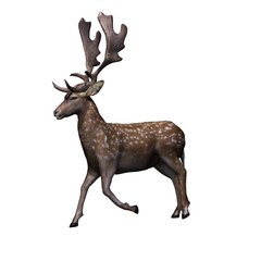 Wild animals - fallow deer is walking in view from the left side - isolated on white background - 3D illustration