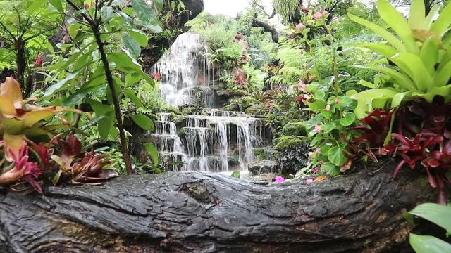 Natural waterfall in the forest is rich, beautiful and shady.