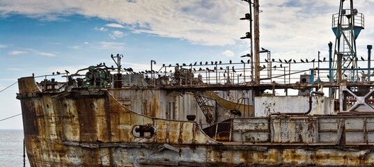 Lots of pigeons occupied abandoned rusty oil tanker ship in Kamskoye Ustye, Russia.