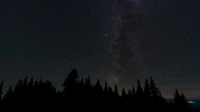 Timelapse of moving stars and milky way in night sky over trees. Epic video 4K