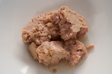 Canned tuna in white bowl closeup