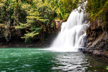 Obraz na płótnie Canvas Nature stream forest waterfall pool landscape.