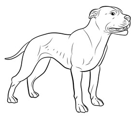 Animals, our faithful friends. Black and white image of a dog, coloring book for children.