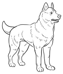 Animals, our faithful friends. Black and white image of a dog, coloring book for children.
