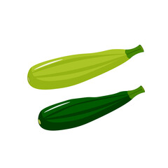 Zucchini vector illustration isolated on white background. Healthly food. For cafes, restaurants and menus, logos and icons, farms and markets.