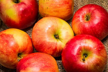 beautiful red and yellow apples