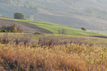 Obraz premium Landscape at Val d'Orcia, Tuscany, Italy.