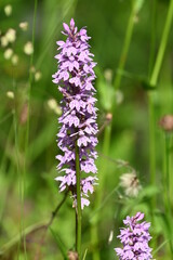 Geo-Pfad bei Achenkirch nördlich vom Guffert