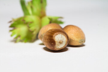 hazelnuts on a white background