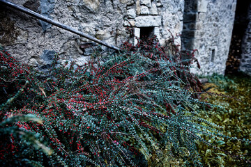 lobster pots on the rocks