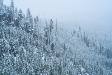 Snowing, Kepler Cascades, Yellowstone National Park, Unesco World Heritage Site, Wyoming, Usa, America