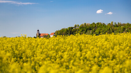 Rapsfelder und Stiftskirche Herrenberg