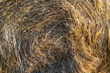 Haystack close up, super background or pattern.