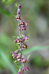 Obraz premium Geo-Lehrpfad bei Achenkirch