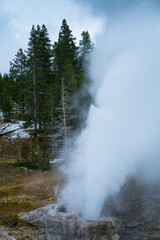 Geyser and Hot Spring, Yellowstone National Park, Unesco World Heritage Site, Wyoming, Usa, America